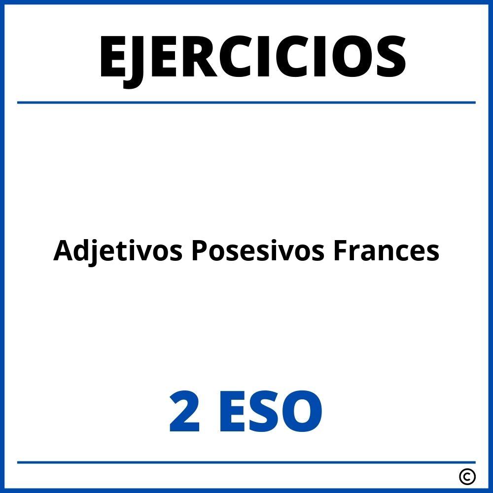 Ejercicios Adjetivos Posesivos Frances 2 ESO PDF