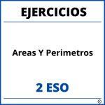 Ejercicios Areas Y Perimetros 2 ESO PDF