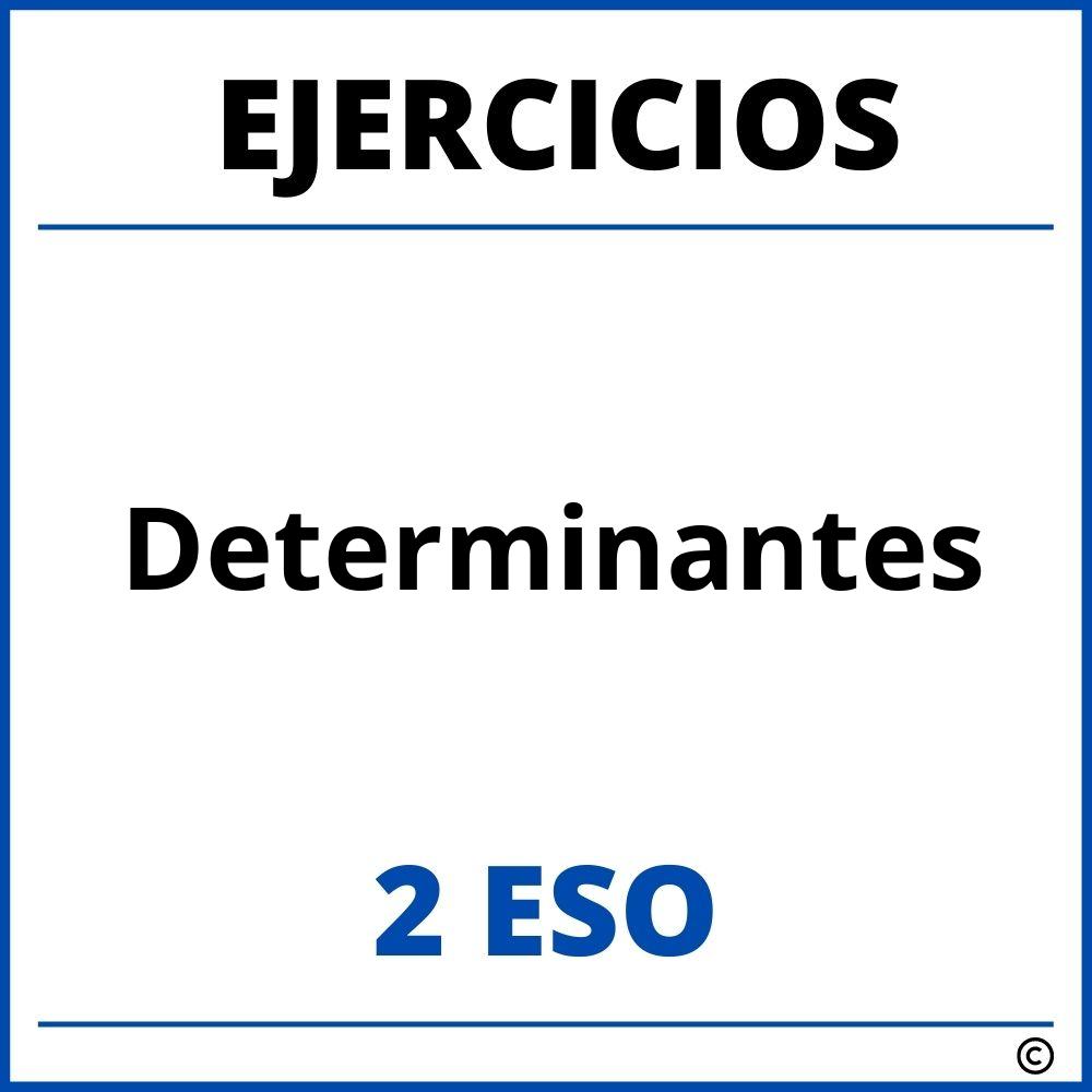 Ejercicios Determinantes 2 ESO PDF