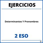 Ejercicios Determinantes Y Pronombres 2 ESO PDF