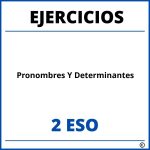 Ejercicios Pronombres Y Determinantes 2 ESO PDF